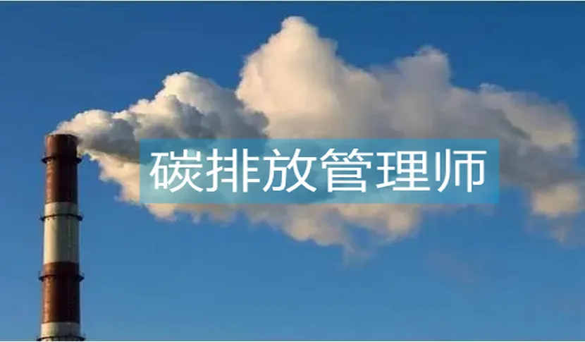 ����̼�ŷŹ��펟���Լ��󿼆᣿������ʲô��