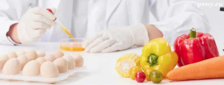 2024�꿼�����I�B(y��ng)�����ҹ�����