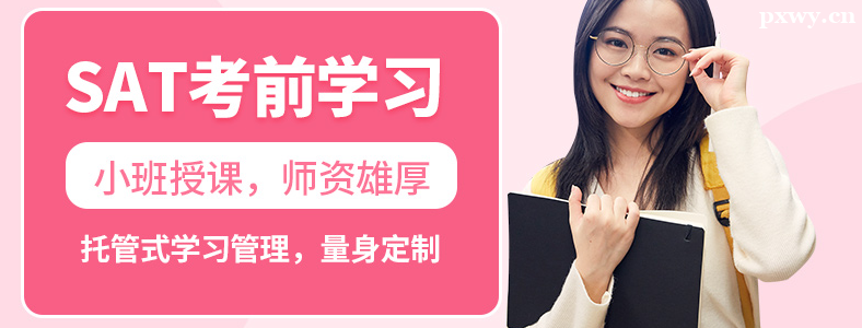 �������SAT��Ӗ(x��n)����ô��