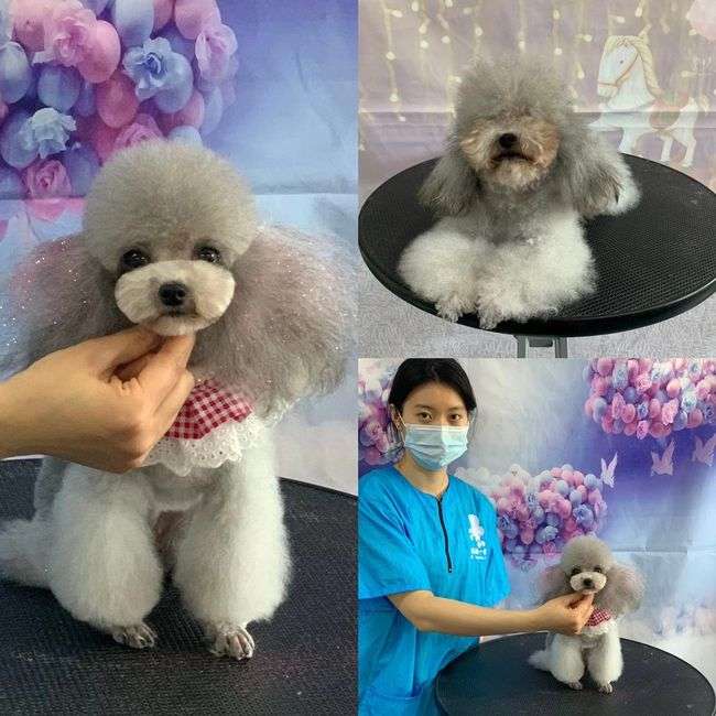 �������ݎ�һ���´�Ŷ����X��