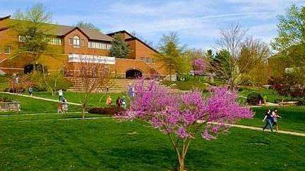 ȥ���ô���W�W��ʯ�͌��I(y��)����Щ�õ�ԺУ