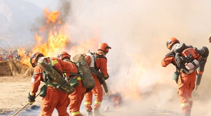 �]�ЌW(xu��)�v���Ԉ�(b��o)���������̎���