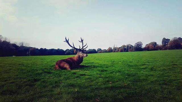 ȥ������W���W�v����ՈҪ������Щ