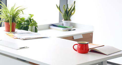 2022��ͥ����ָ����������ԇ�r�g