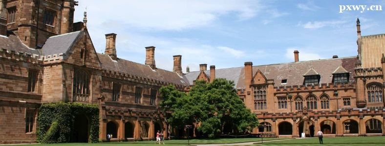 ȥ������WҪʲô�l��