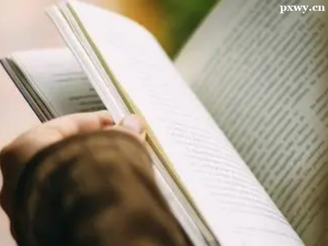 �����߿�SAT�y�ȴ��