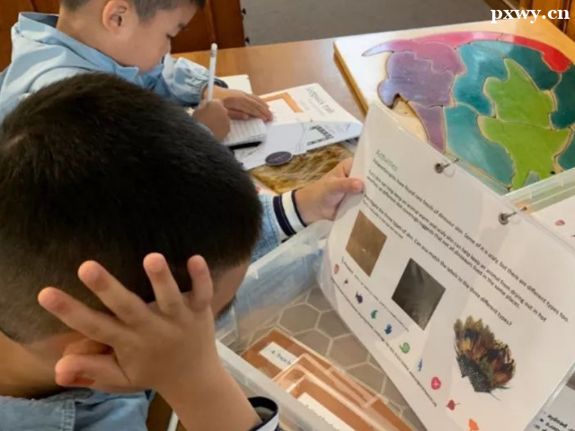 ��ʲôҪ�WС�и�