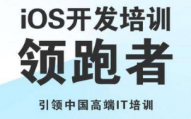 IOS̎Ӗ