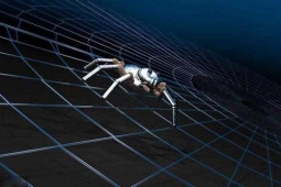 濰坊網站建設技能培訓