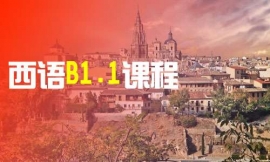 �������Z(y��)B1.1�n��