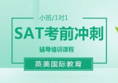 �V��SAT�_���o����Ӗ��