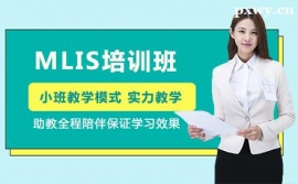 廣州MLIS培訓班