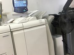 雷焰圖文設計制作 深耕上海，鑄就專業視覺與印刷服務典范